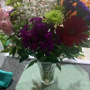 Meet your Posher, Ann